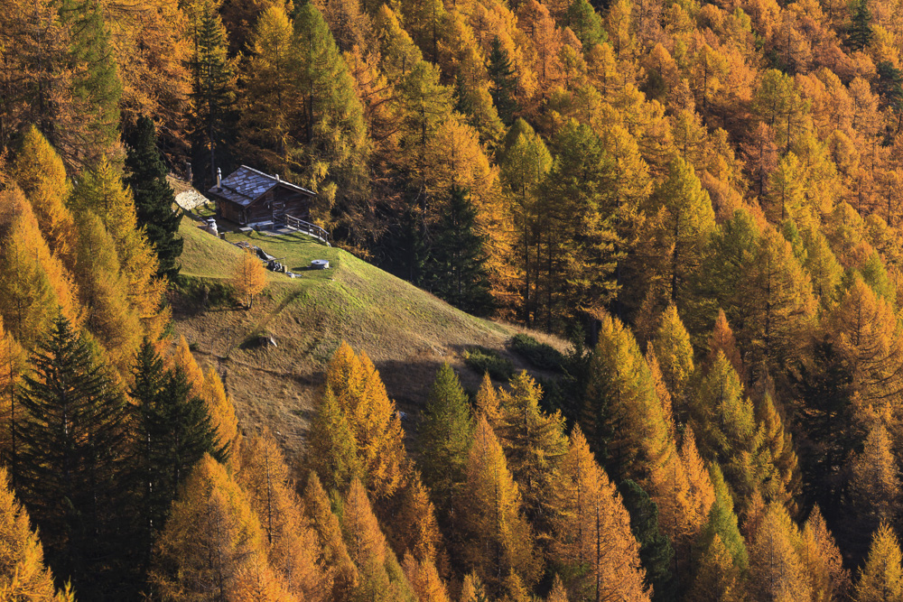 11. Platz Josef Schafnitzel